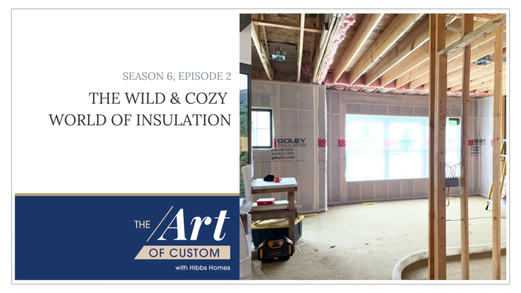 Energy Efficient Insulation for New Home Construction