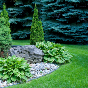 New Home Landscaping Tips