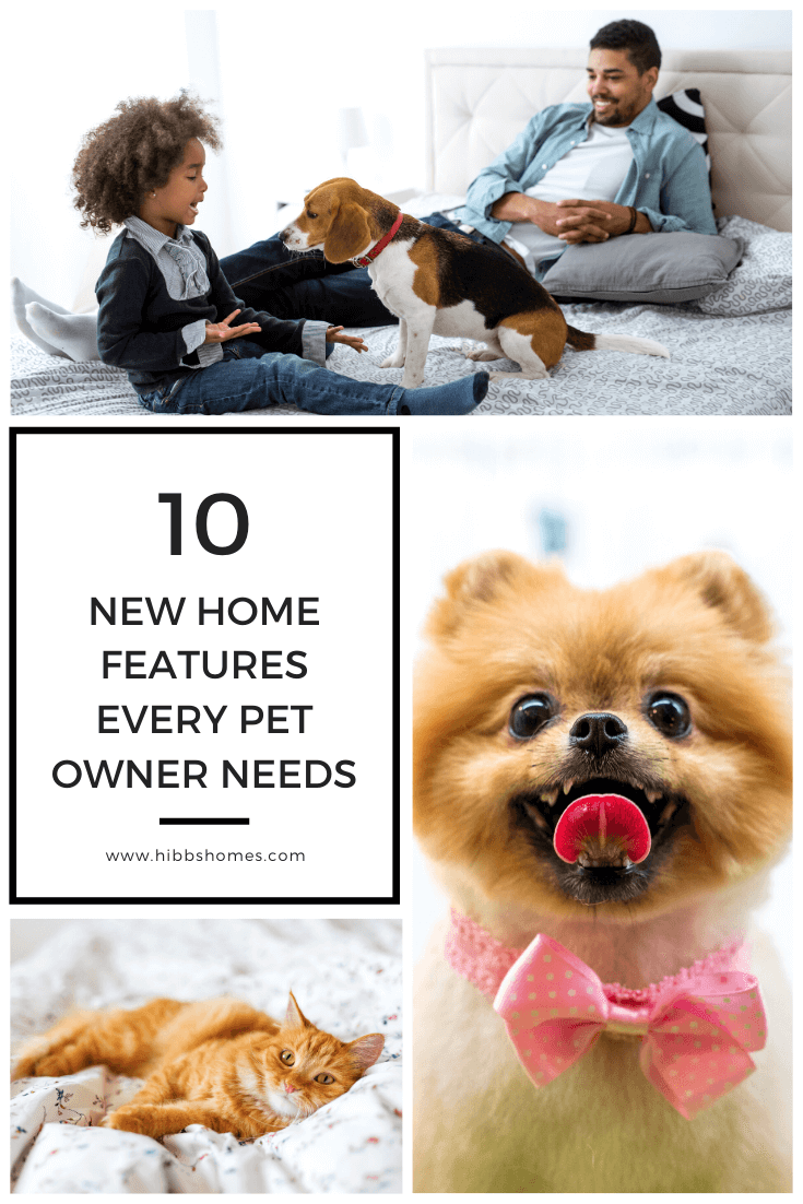 Home Must-Haves For Dog Owners