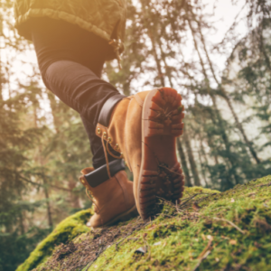 Utah Fall Hikes