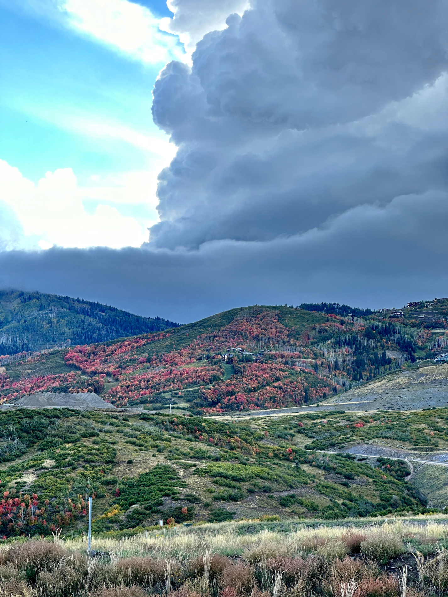 On Your Land Home Builder Park City